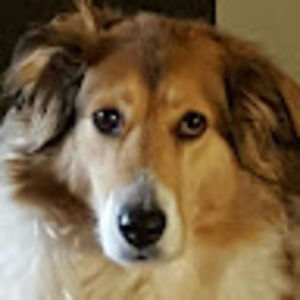 Meet your Posher, Yvonne